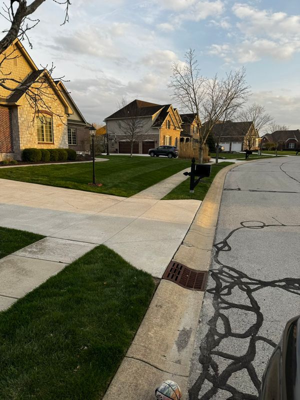 Lawn Care and Maintenance