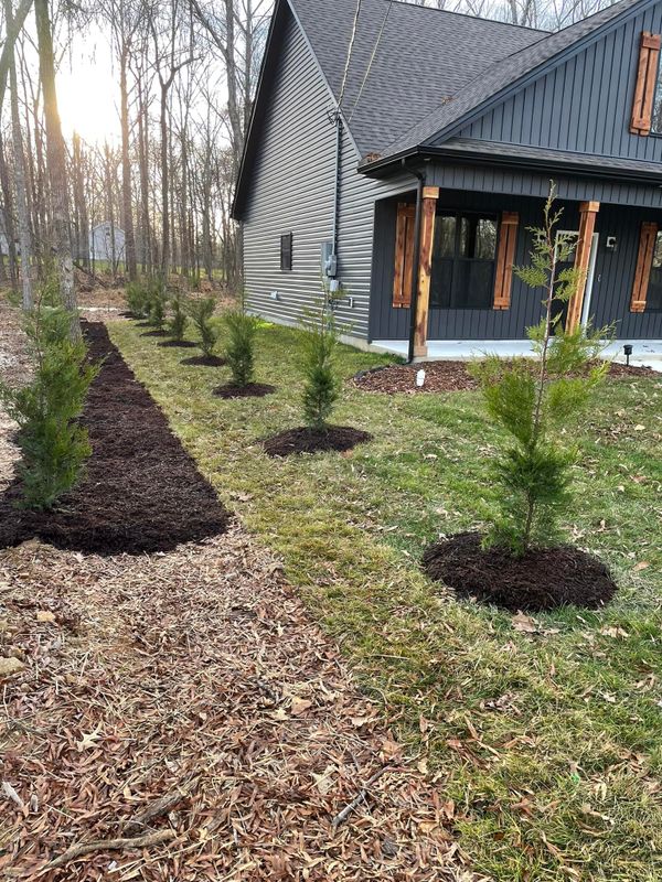Edging and Pruning