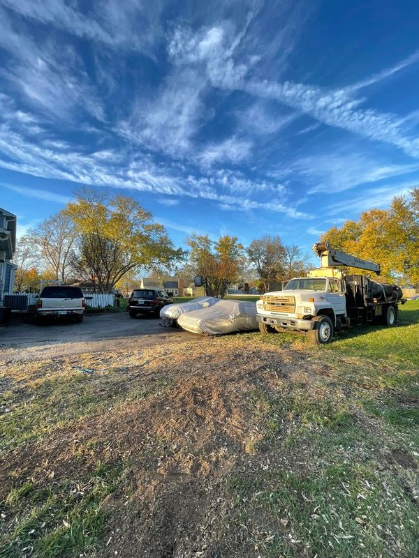 Tree Removal gallery