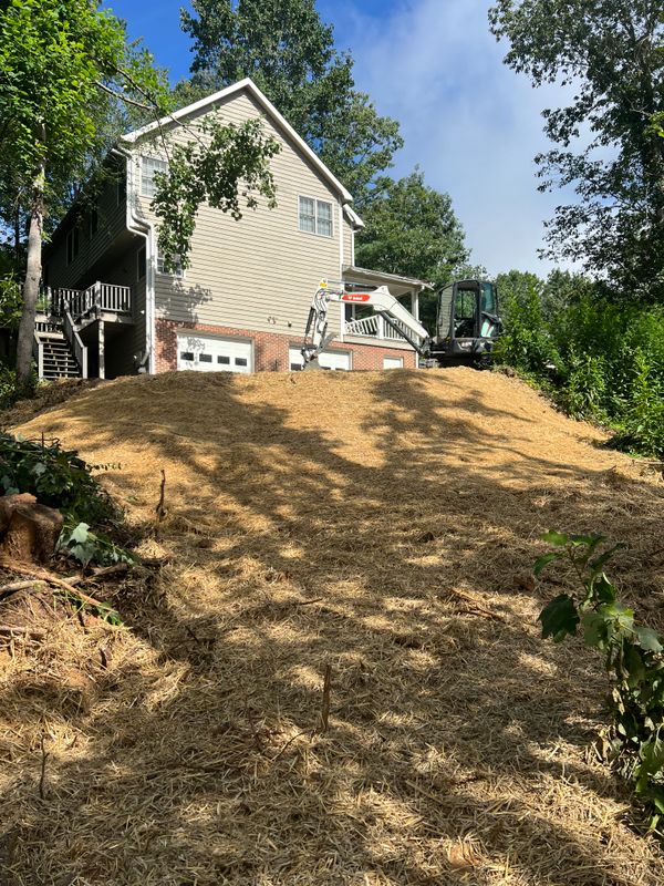 Soil Management and Mitigation
