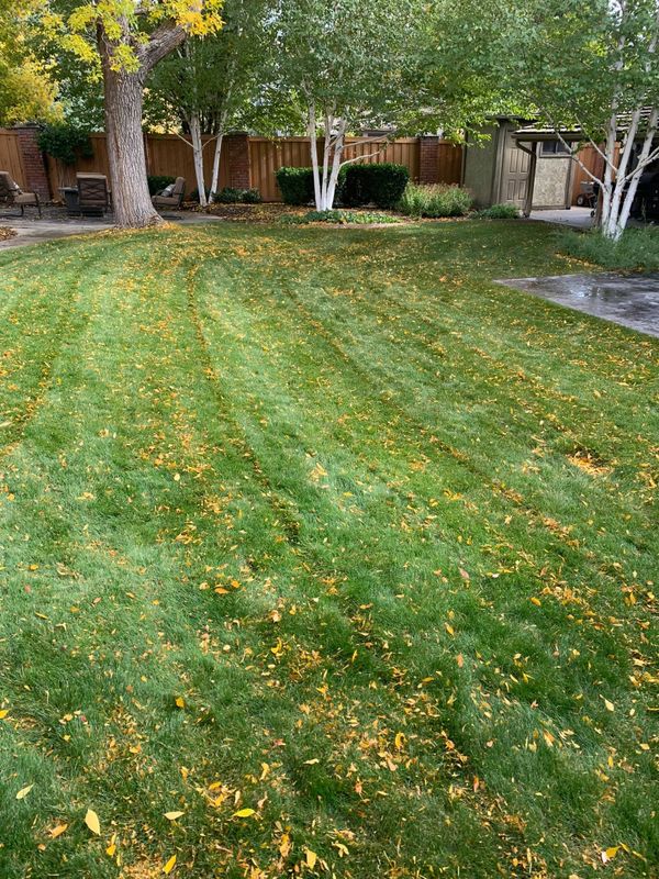 Fall Clean Up
