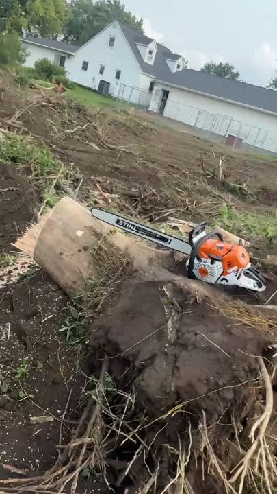 Land Clearing