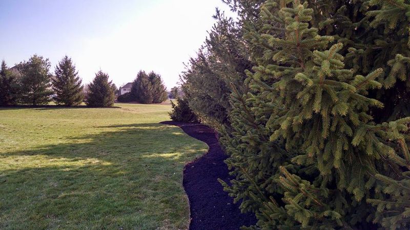 New landscapes. Plantings and mulch