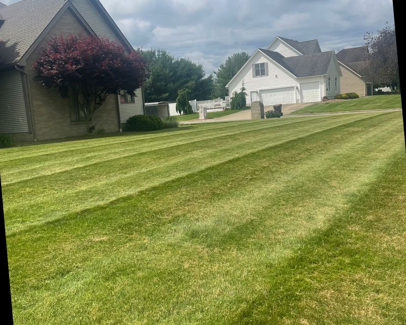 Landscaping