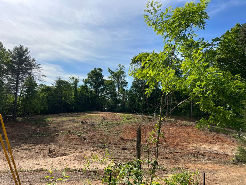 Lot Clearing