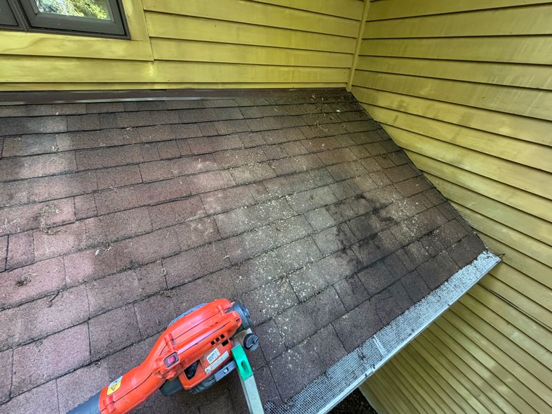 Roof Cleaning