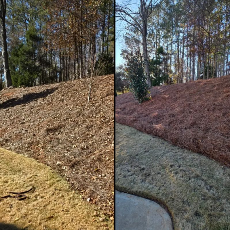 Landscaping