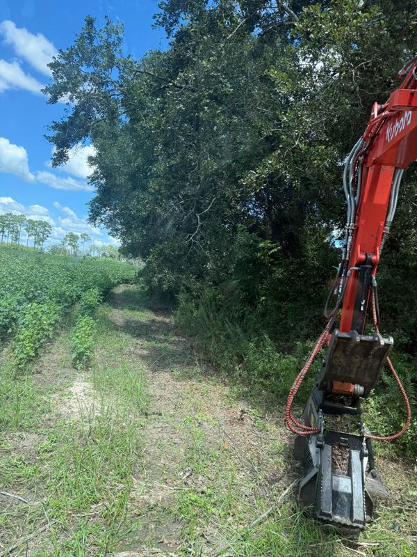 Land Clearing