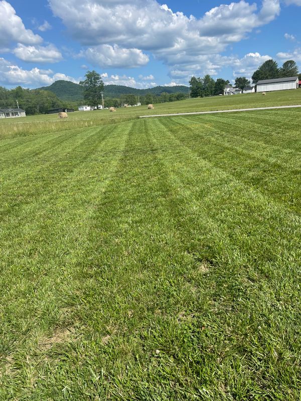 Commercial Mowing