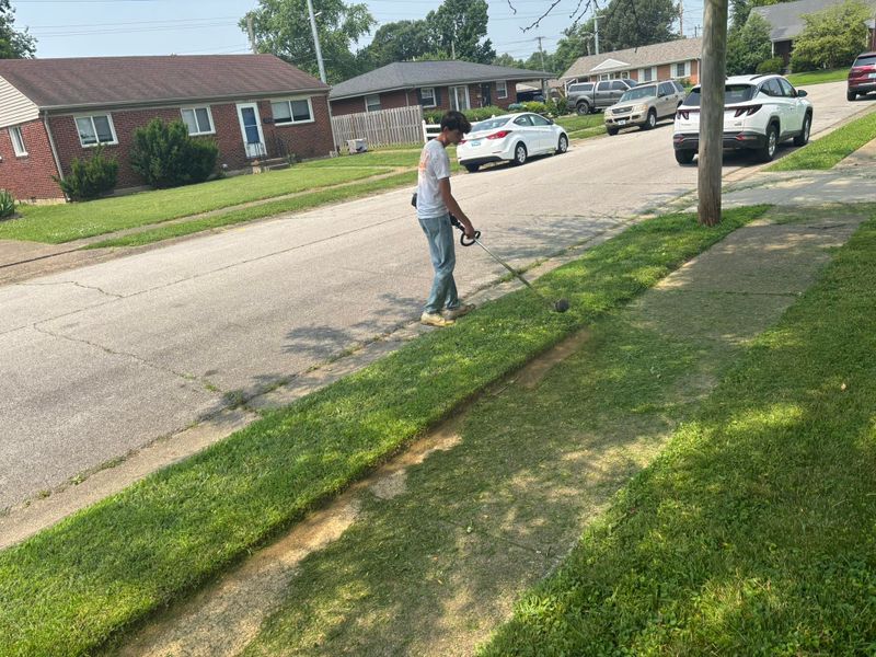Landscaping 