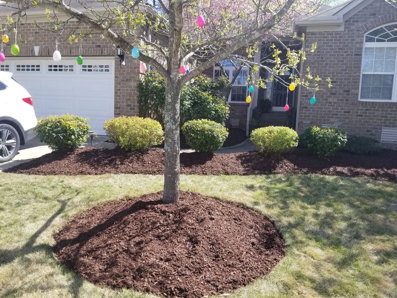 Landscaping