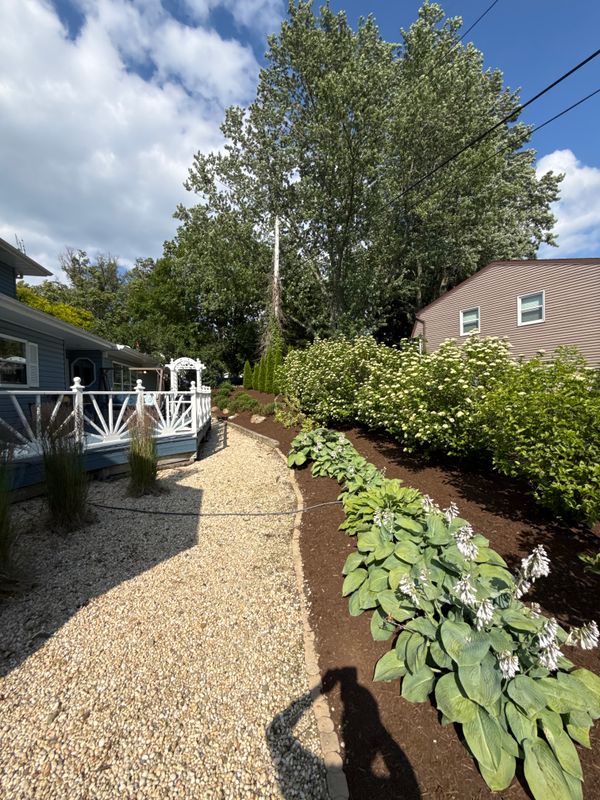 Tree & Shrub Care