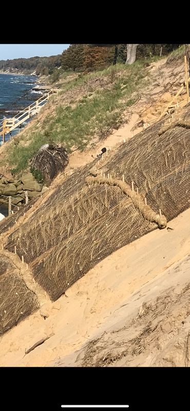 Sea Walls