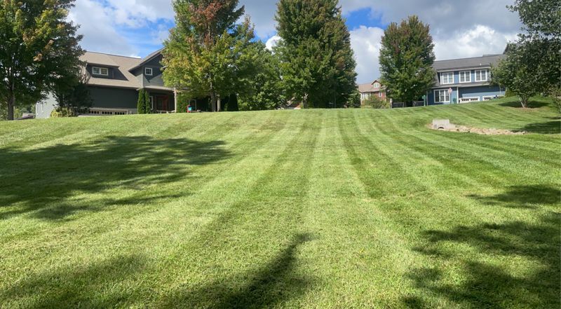 Lawn Maintenance