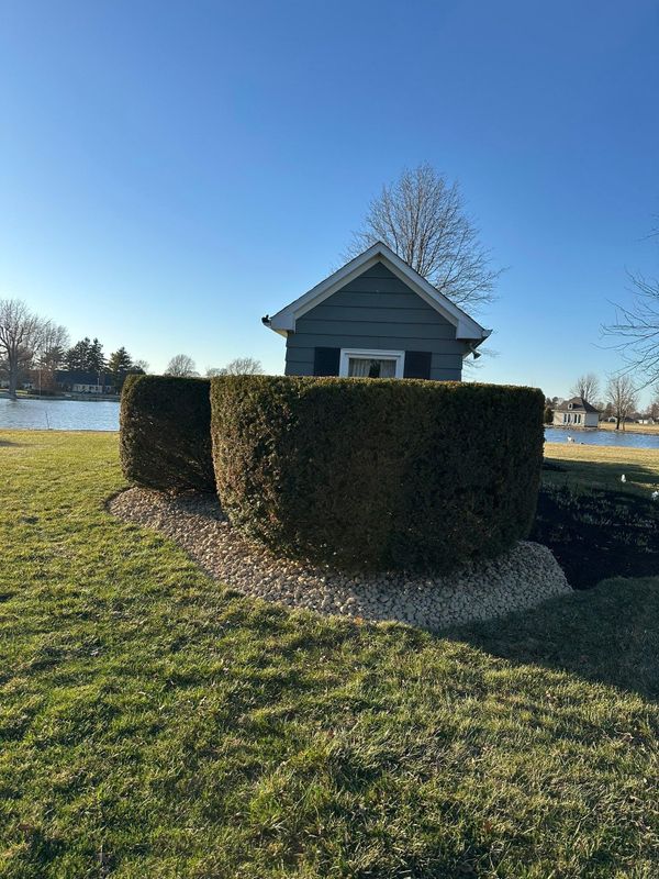 Landscape design