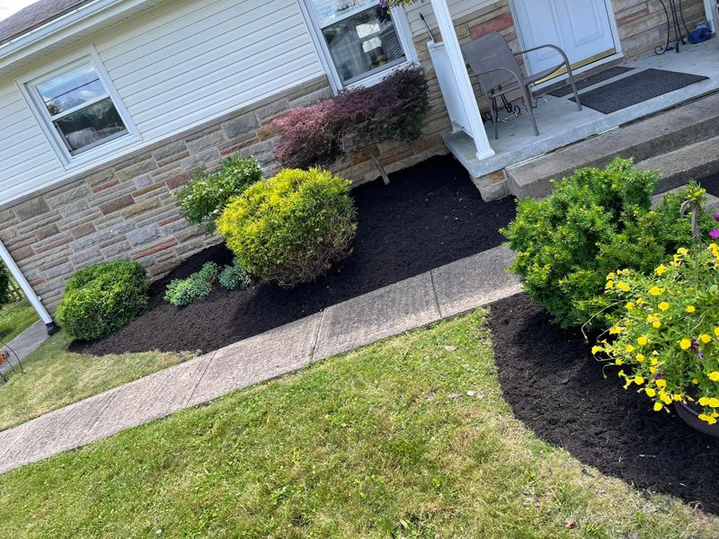 Mulch Installation
