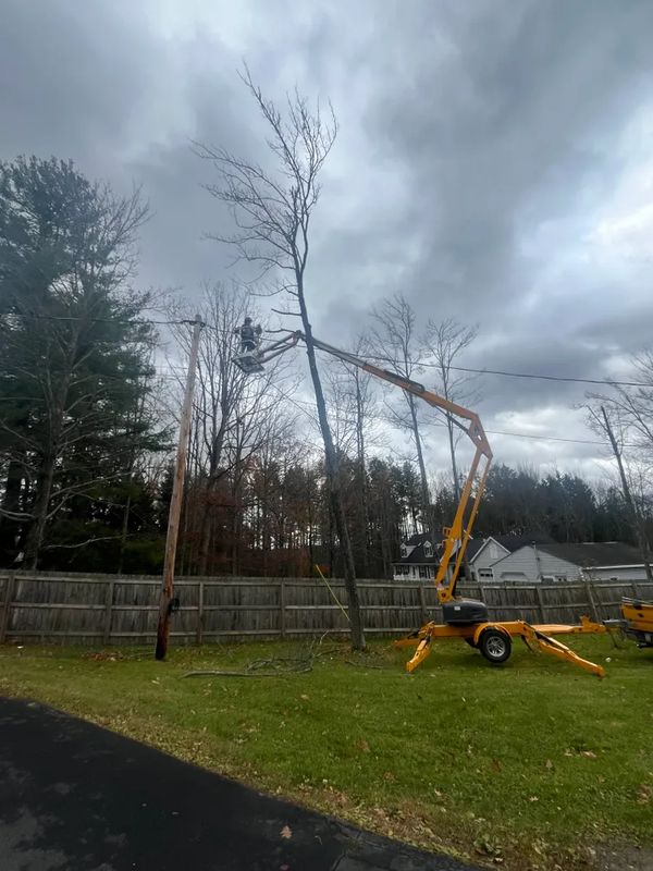 Emergency tree services
