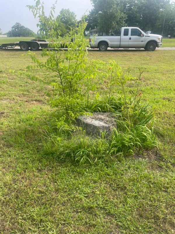Land Clearing gallery