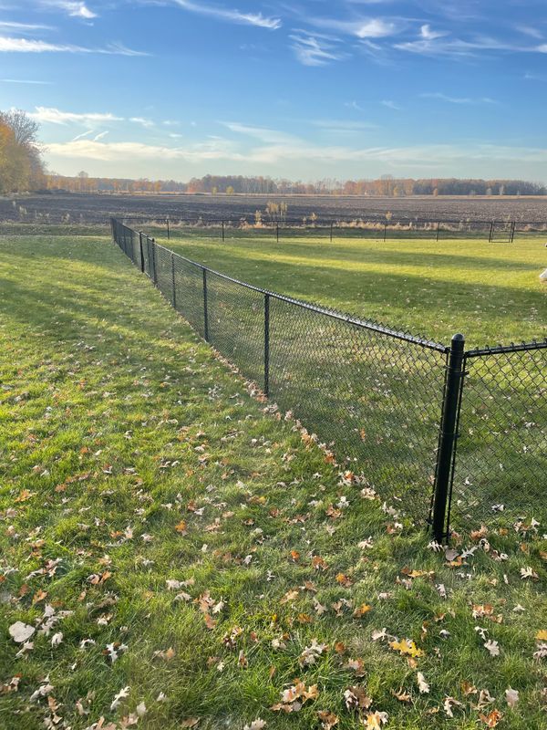 Chain Link Fencing