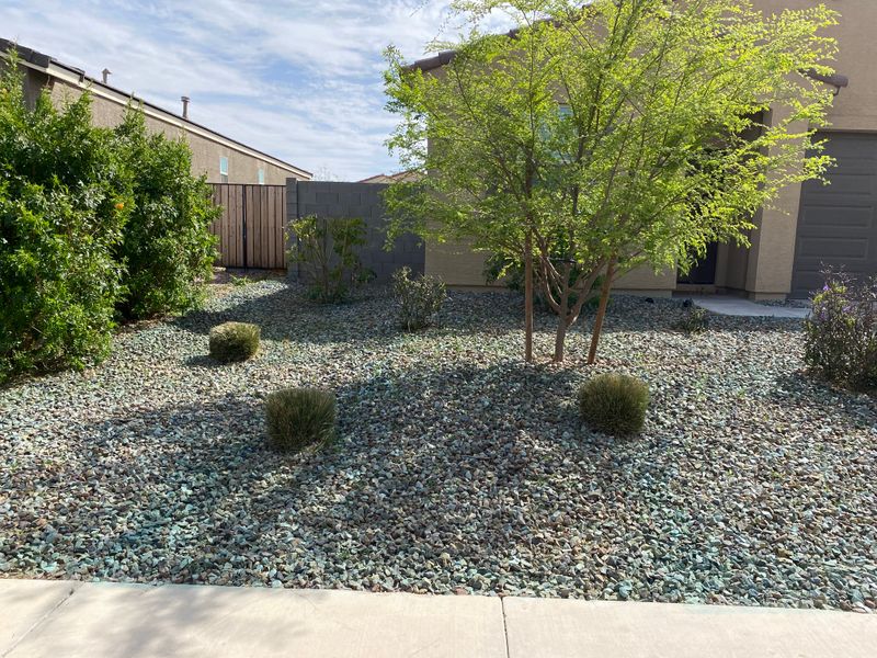 Shrub Trimming