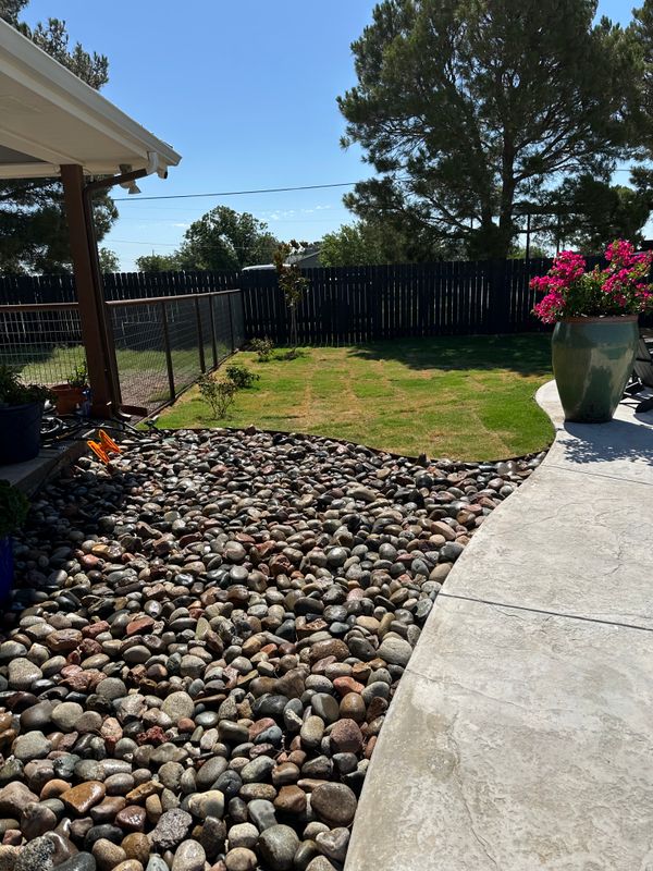 Landscape Design & Installation