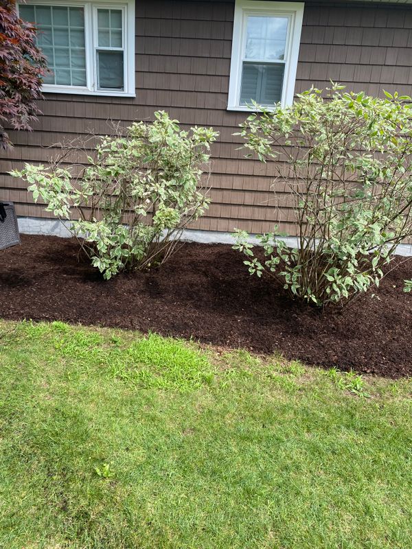 Mulching