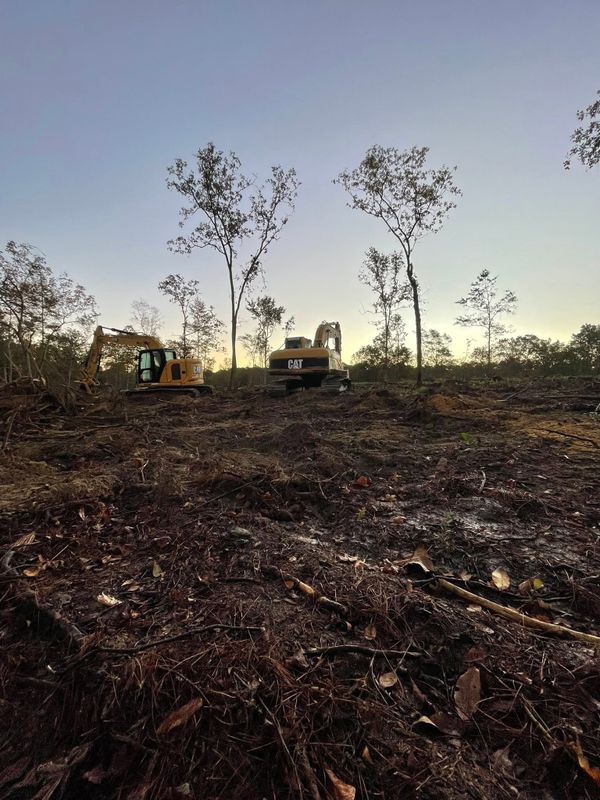 Land Clearing and Site Preparation
