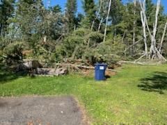 Emergency Tree Removal
