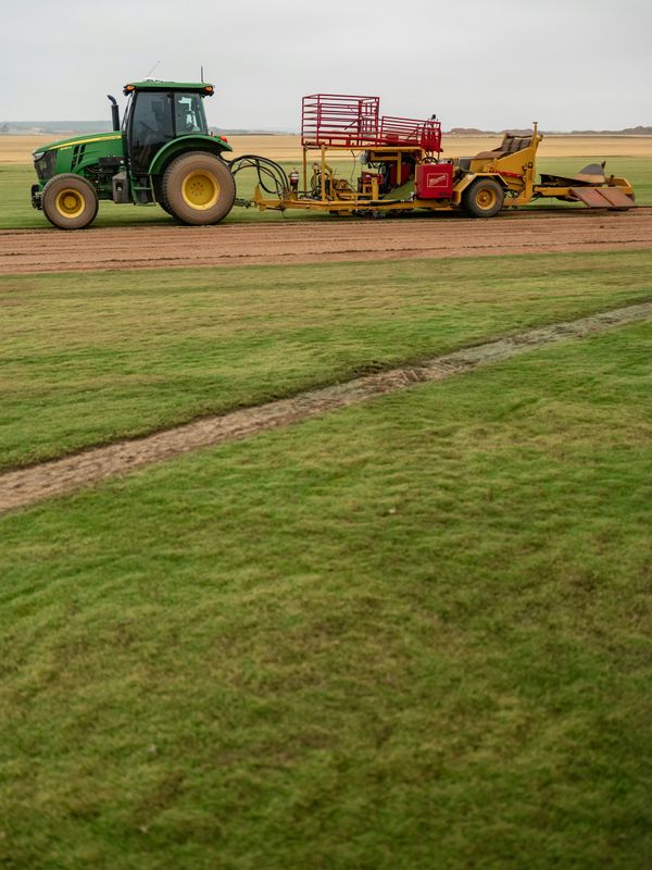 Mowing