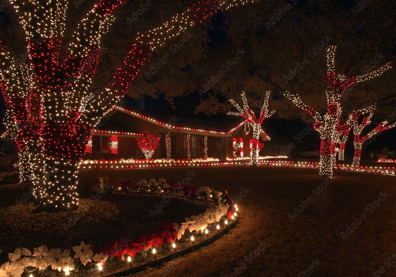 Christmas Light Decor