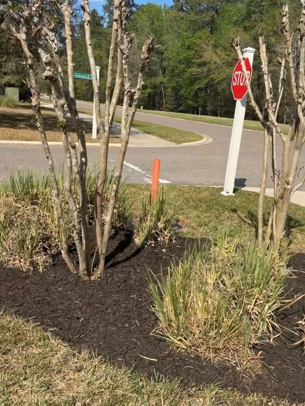 Mulch Installation
