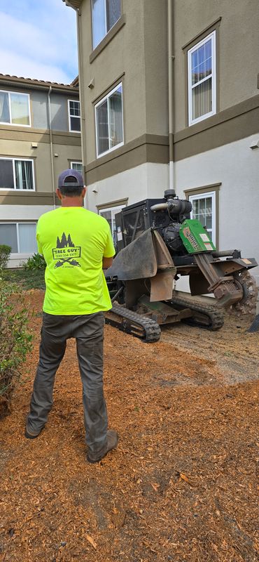 Stump Removal