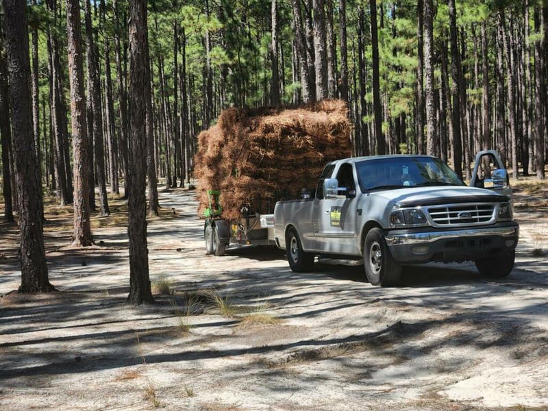 Mulch Installation