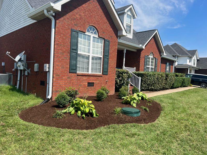 Landscaping