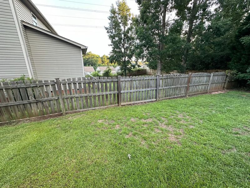 Wood Deck & Fence Cleaning