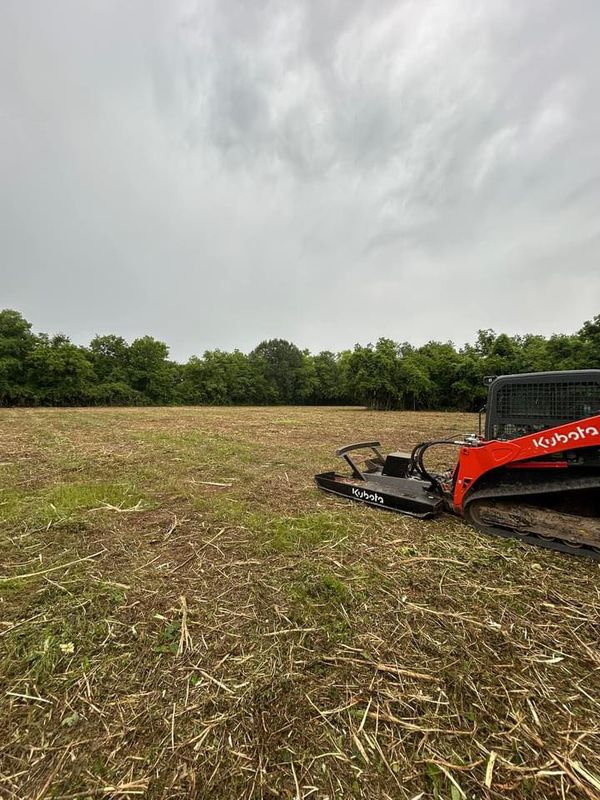 Brush cutting & Mulching