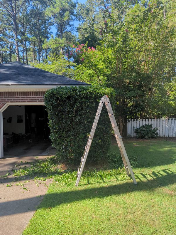 Shrub Trimming