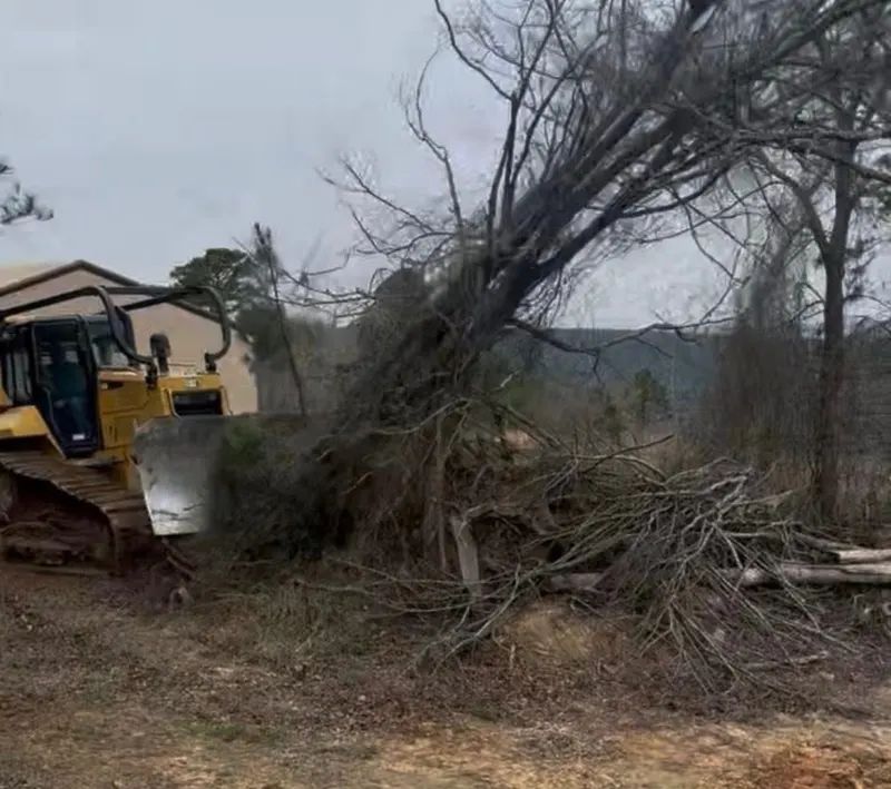 Brush Clearing