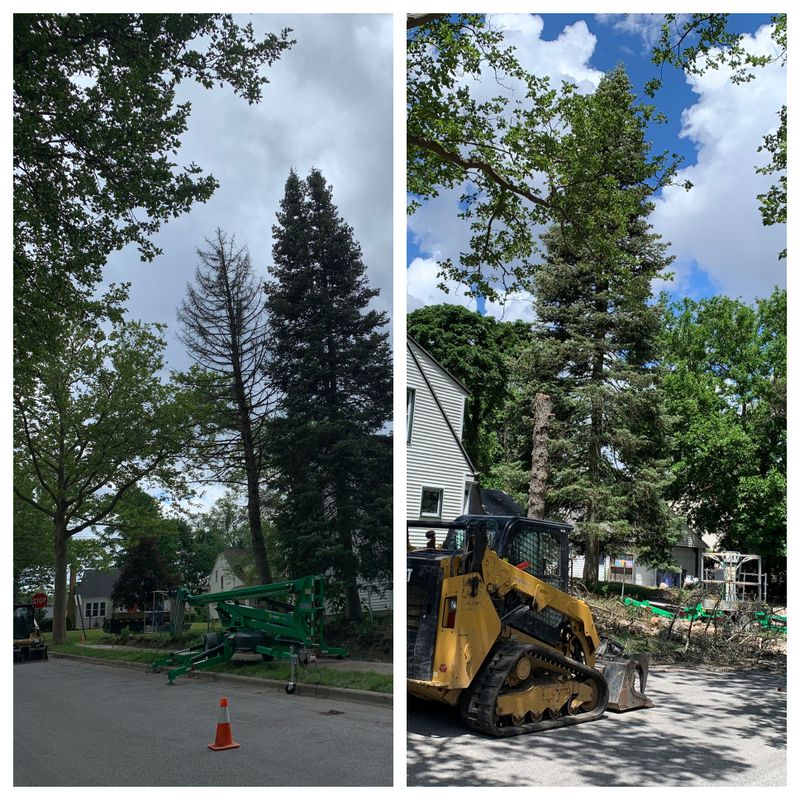 Land Clearing & Demolition
