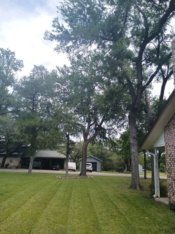 Lawn Mowing
