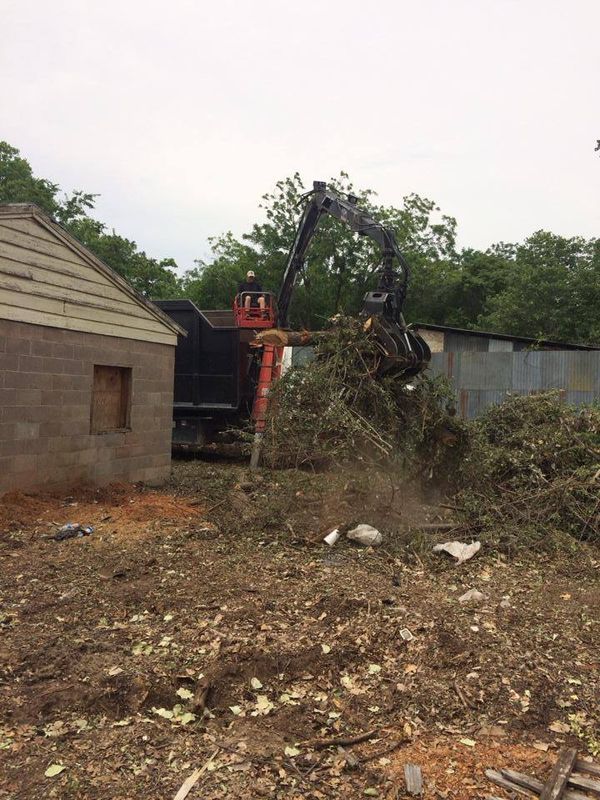 Tree Removal gallery