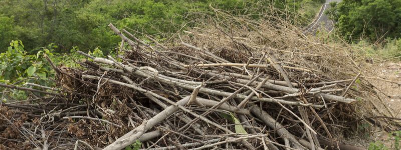 Forestry Mulching