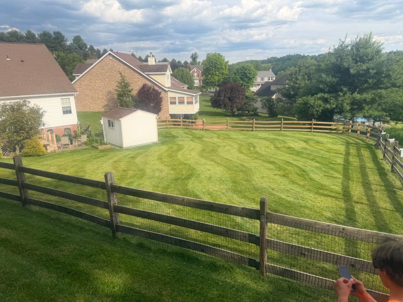 Lawn Care