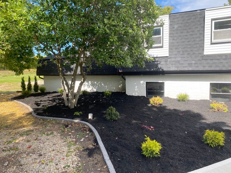 Landscape Design