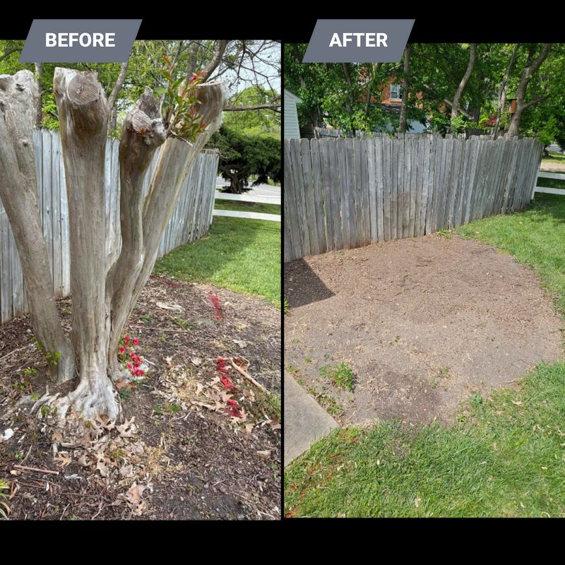 Stump Grinding