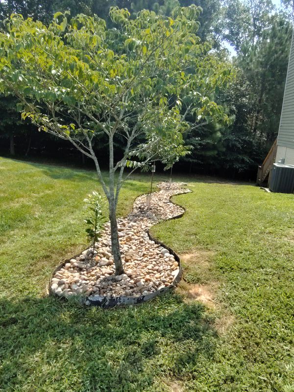 Lawn Care