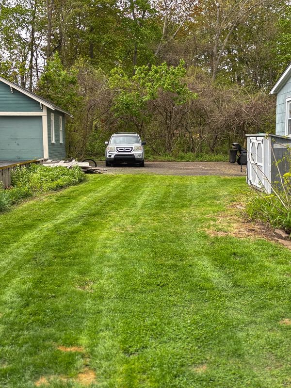 Lawn Maintenance