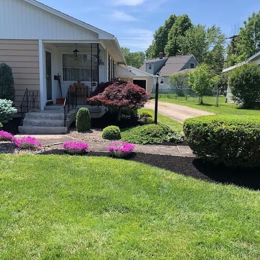 Lawn Care & Maintenance