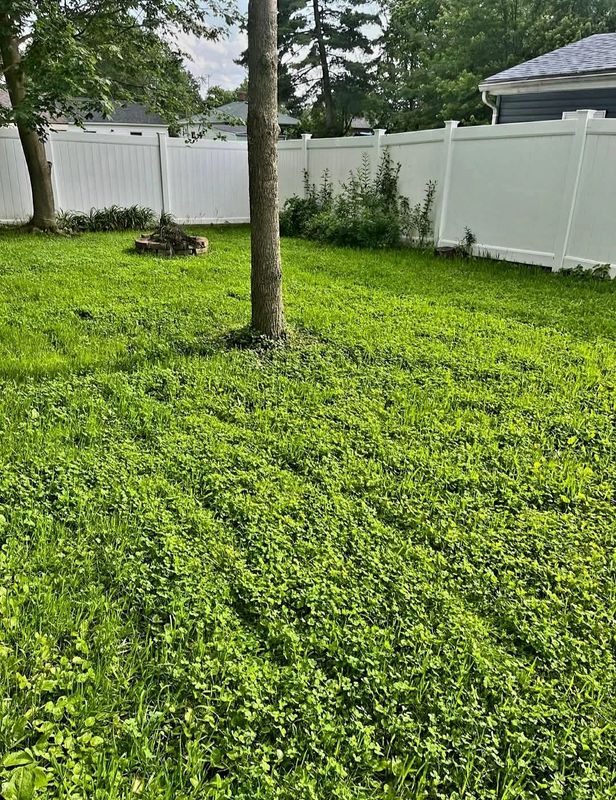 Lawn Care Services
