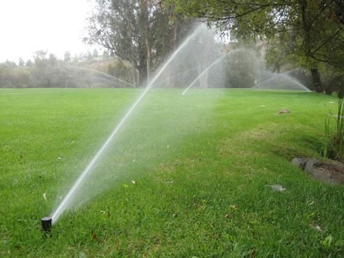 Lawn Maintenance